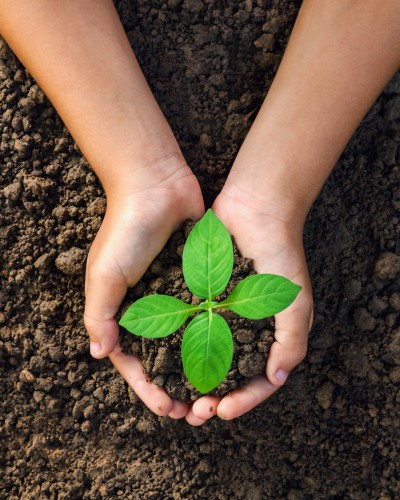 FSA - Sustainable Agriculture