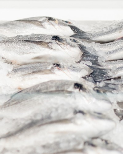GLOBALG.A.P. Aquaculture (Copy)