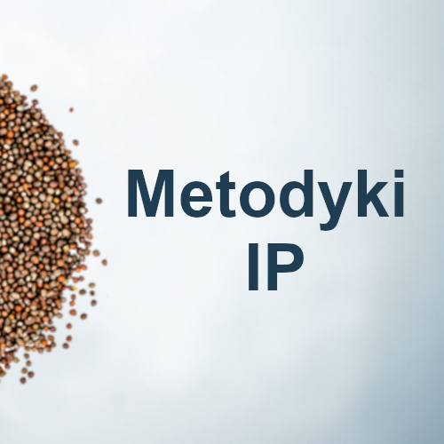 Metodyki IP - aktualizacja 12.2025
