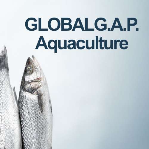 GLOBALG.A.P. Aquaculture już w naszej ofercie